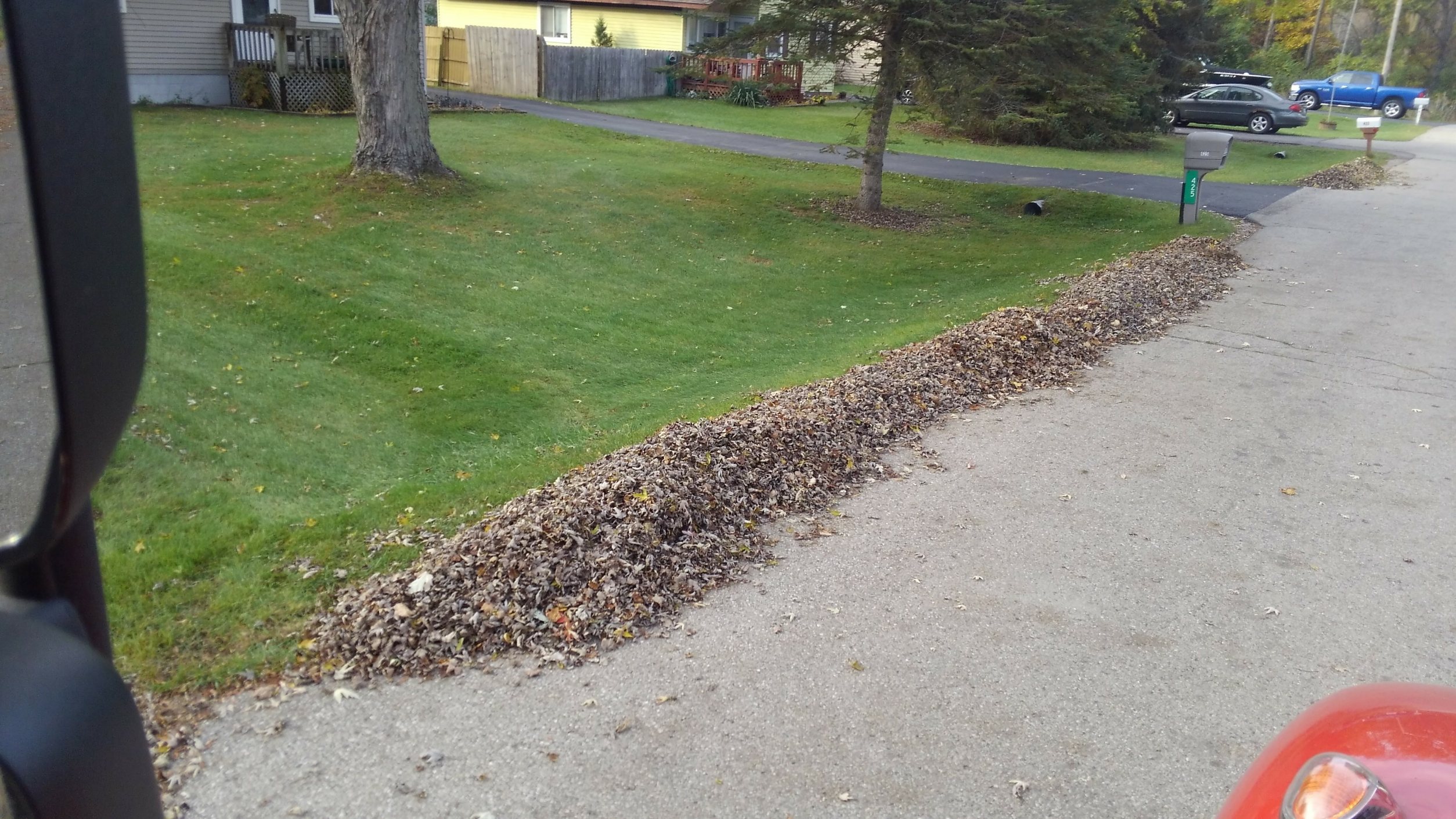 Yard Waste: What It Is and What to Do With It - Granger